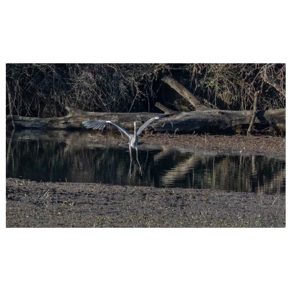 PHOTO84, CLUB, 84 , LUBERON